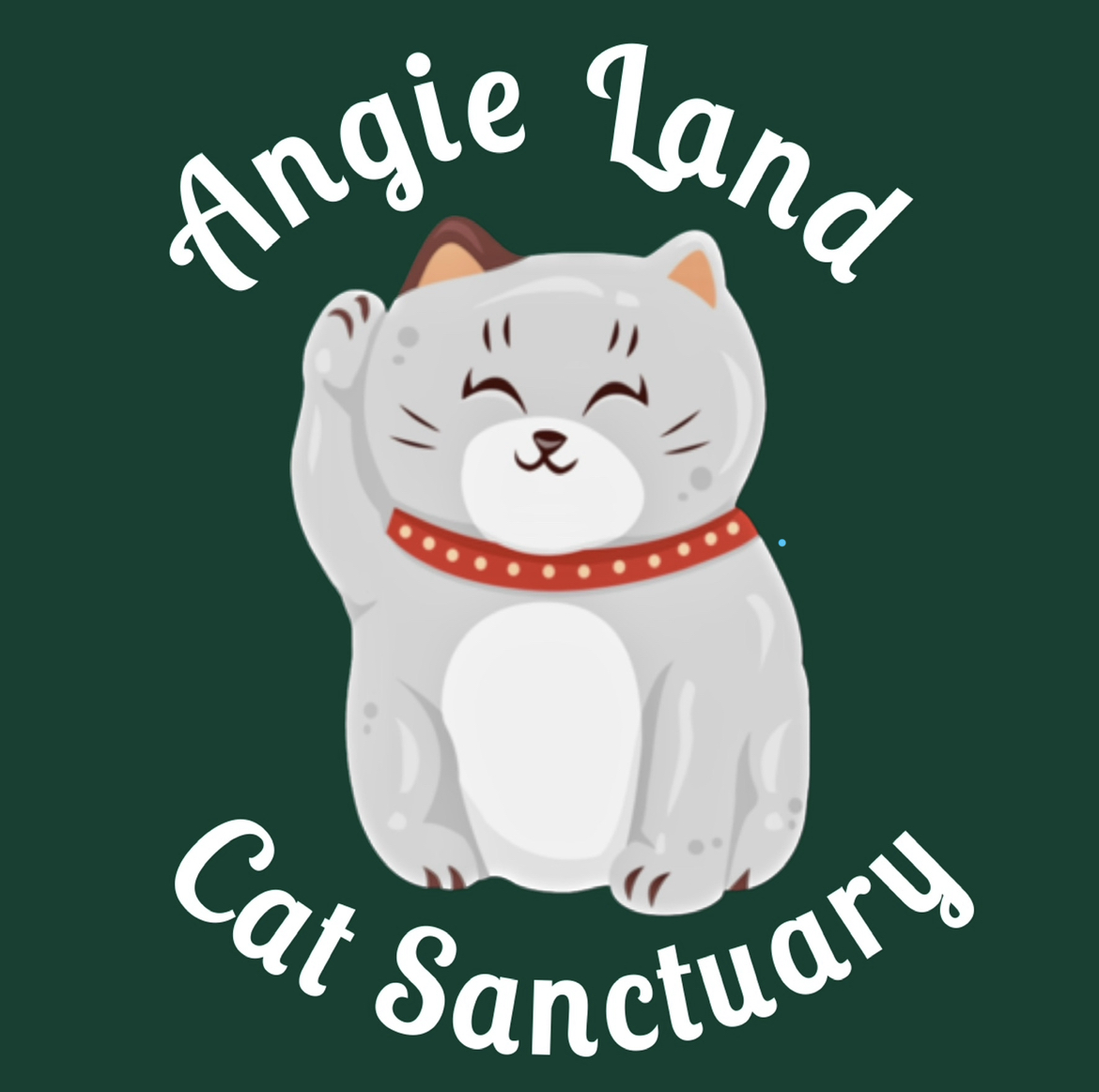 Writer: Angie Land Cat Sanctuary