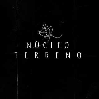Foto do escritor: Nucleo Terreno