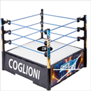 Immagine del redattore: CIW (coglioni ignorant wrestling)
