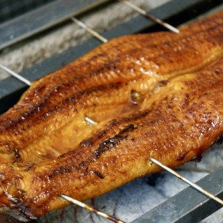 執筆者の写真: 鰻天 鰻処