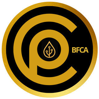 Foto del escritor: Poli Continental