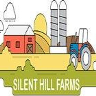 Writer: Silent Hill Firms