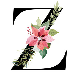 Writer: Zana Switzer