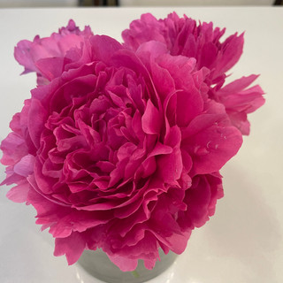 Writer: brendamorris265