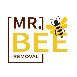 Writer: Mr. Bee Removal