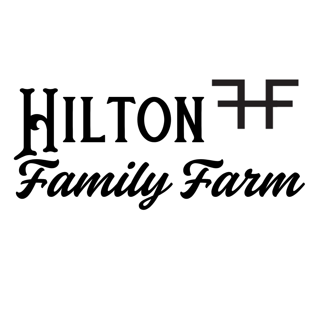 Writer: Rachel Hilton