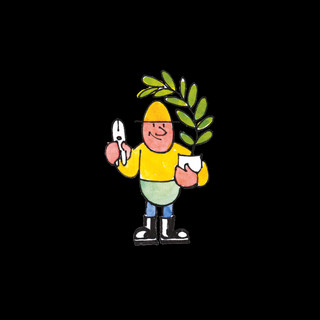 Autorenbild: DreamPlant GmbH