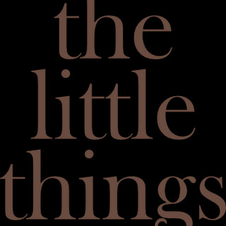Writer: littlethingsthe
