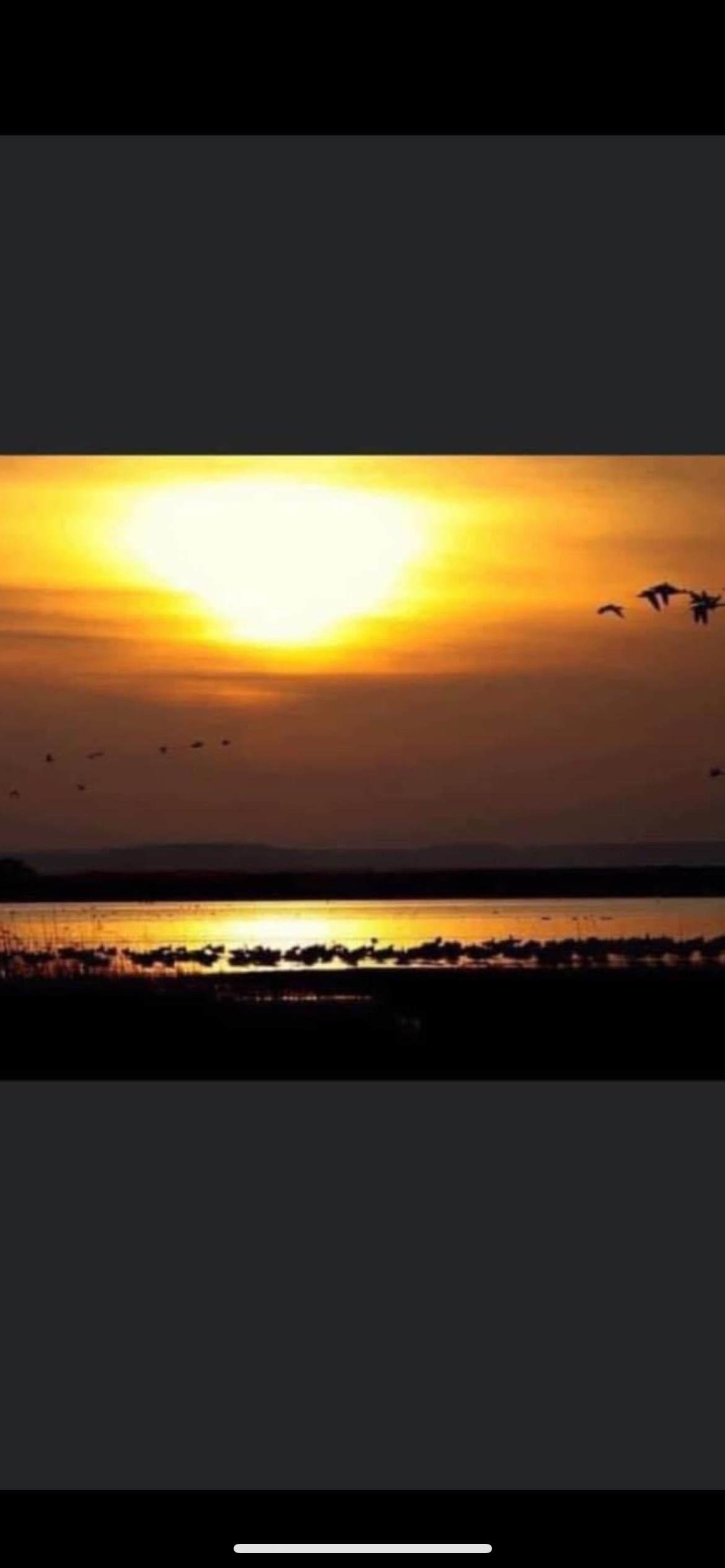 Photo du rédacteur: Georgia Antonopoulos