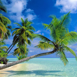 執筆者の写真: Hide Saionji