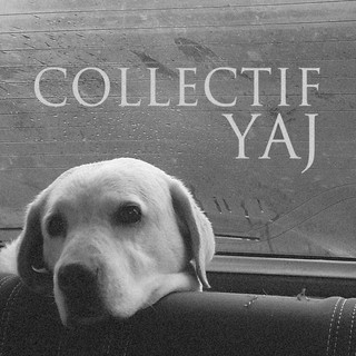 Photo du rédacteur: collectifyaj