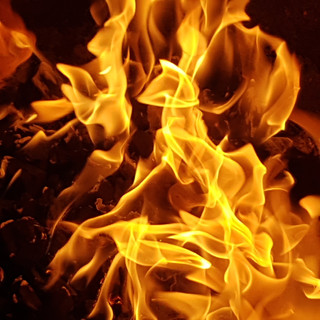 Writer: Petrica Bizgan