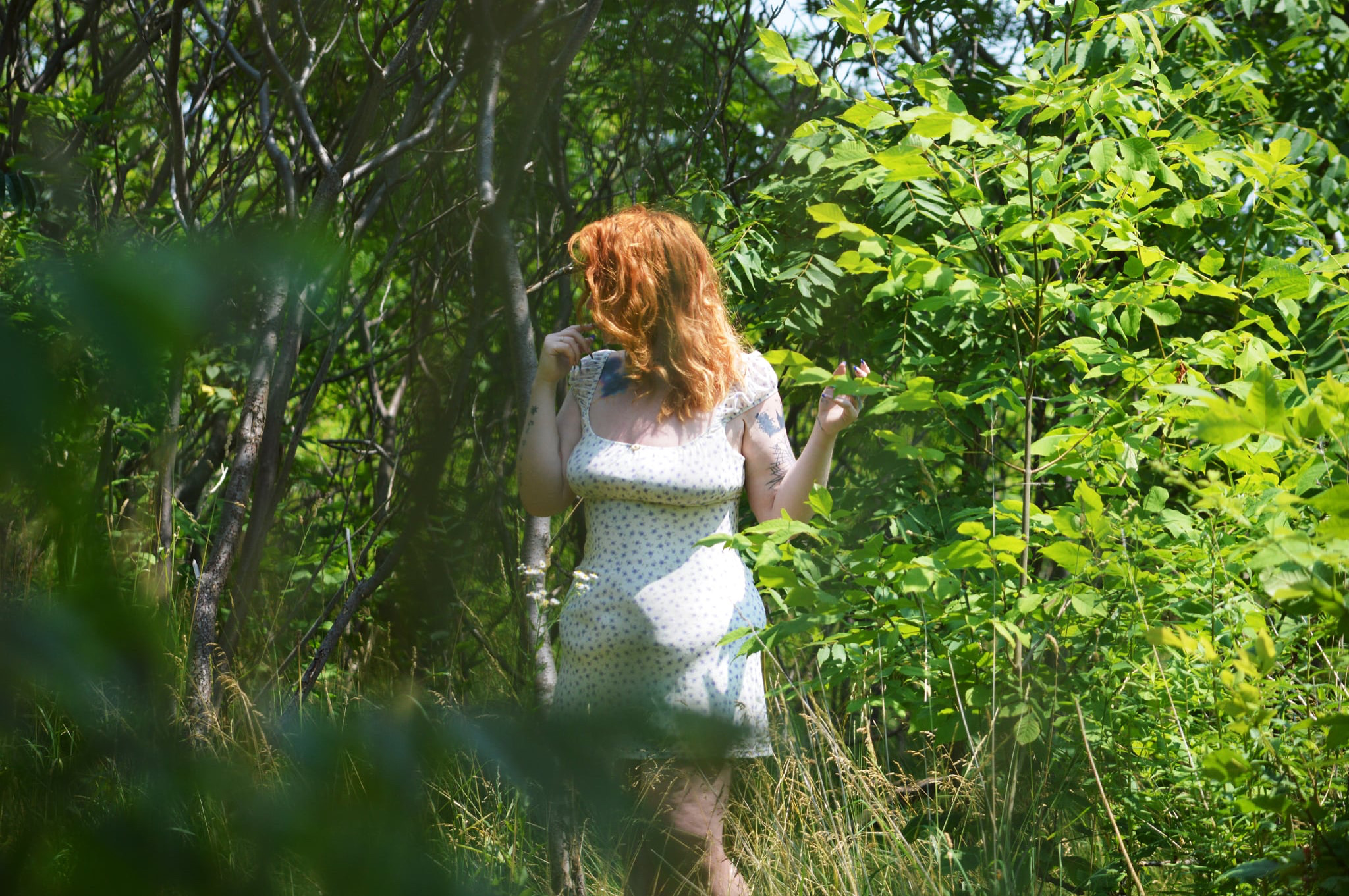 Writer: The Sensual Lens