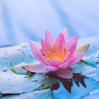 Photo du rédacteur: Elisabeth NICOLE