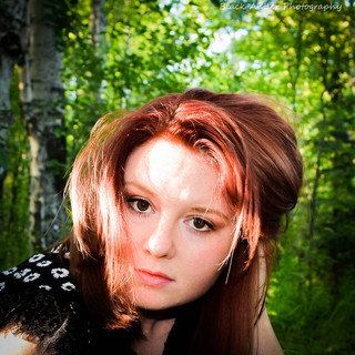 Writer: Shannon Strawn