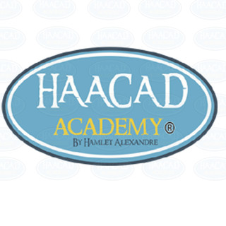Foto del escritor: Hamlet Alexandre Academy