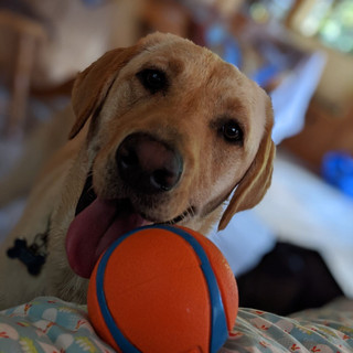 Writer: Mimi Jacobson C.P.D.T