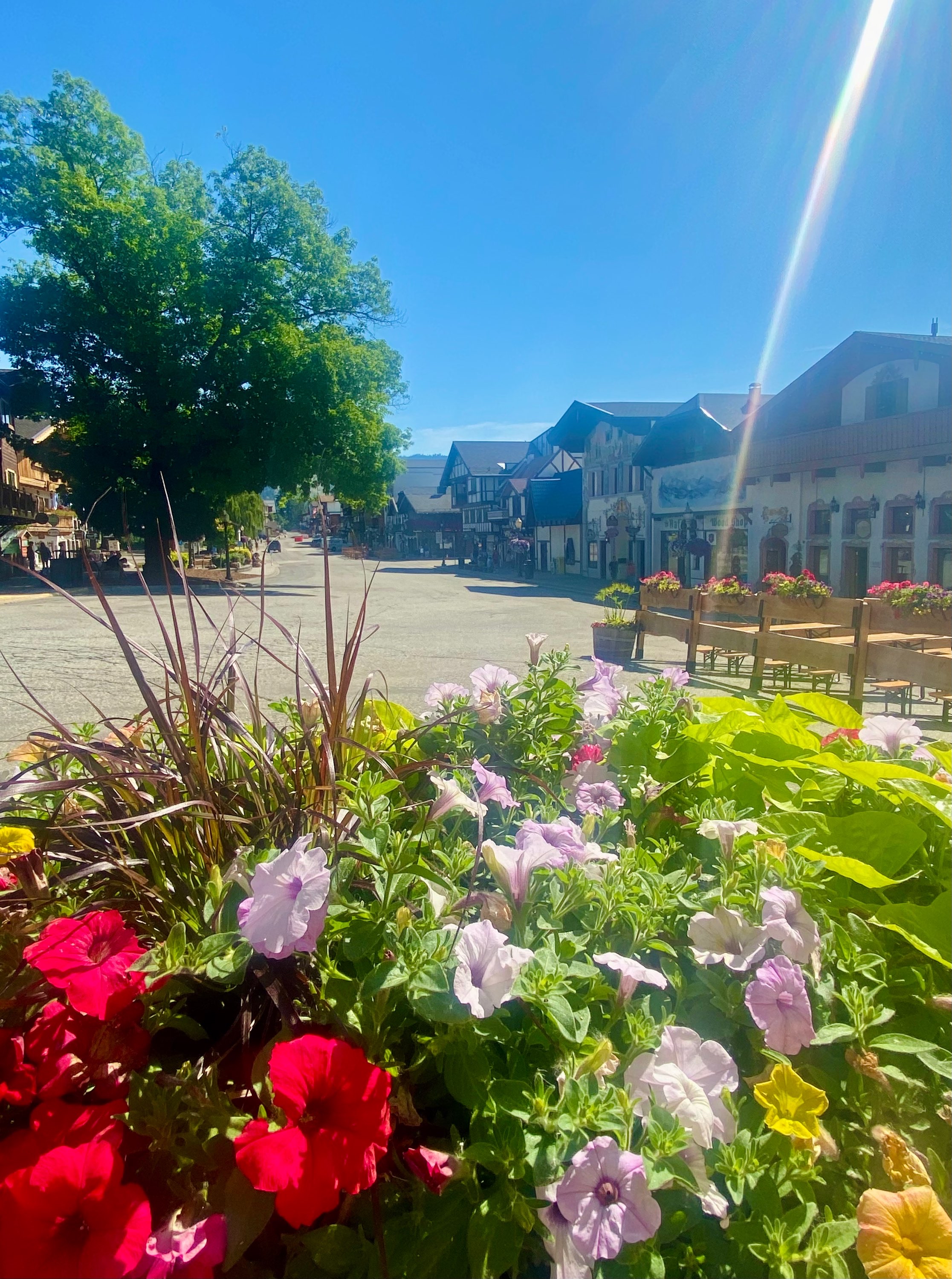 Writer: Kirstie Miethe