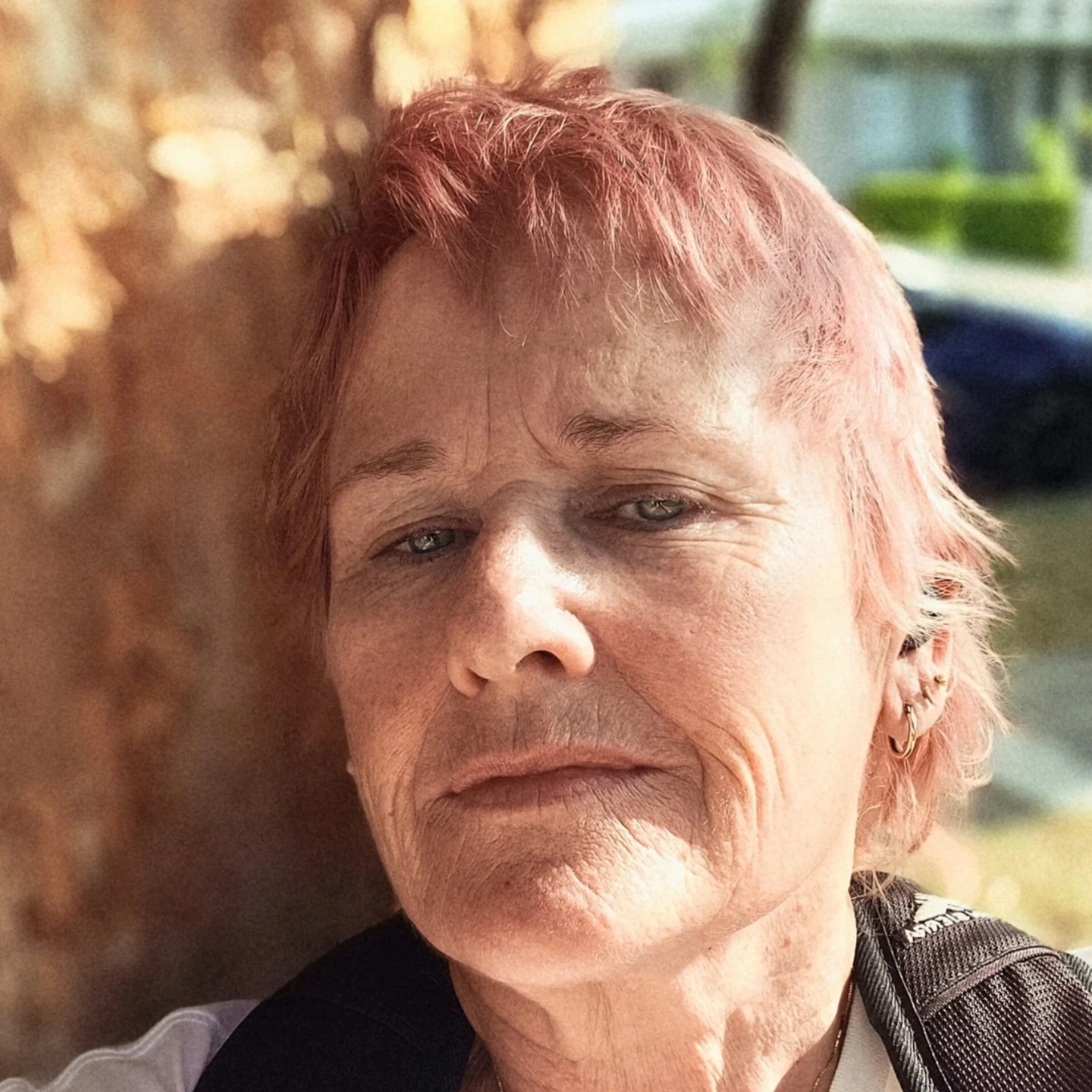 Writer: Davida bache