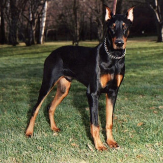 Writer: Rudy/Sheri Montalvo