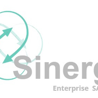 Foto del escritor: sinergyenterprise