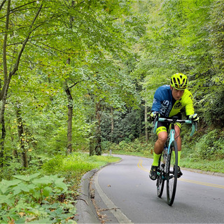 Writer: Z28 Performance Coaching