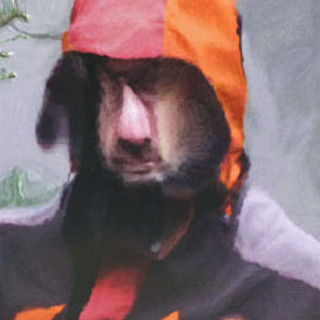 Photo du rédacteur: jérôme Hémain