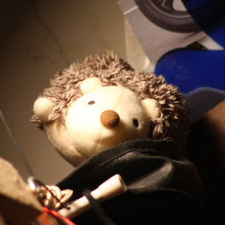 執筆者の写真: † alone actor