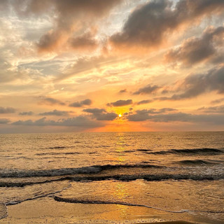 Writer: Diana Carolina Arias