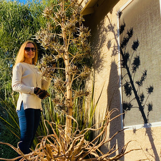 Writer: Deborah Pella-Smith