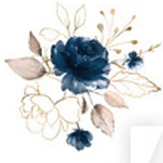 Writer: Erin Walters