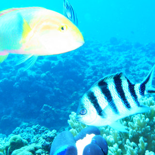 執筆者の写真: Juckus Denis