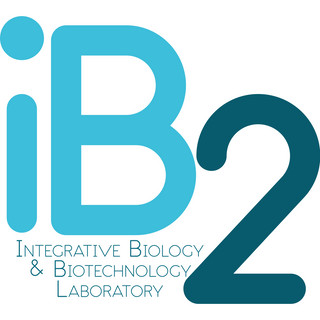 Foto do escritor: ib2lab