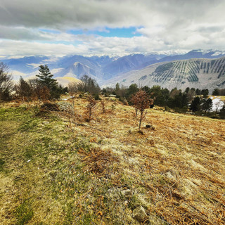 Photo du rédacteur: Yoann LAFON