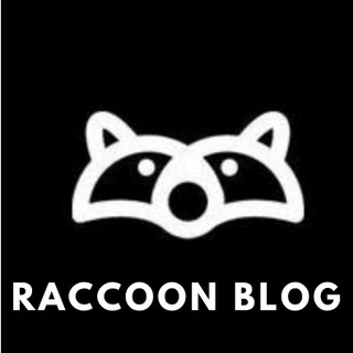 Writer: Raccon Blog