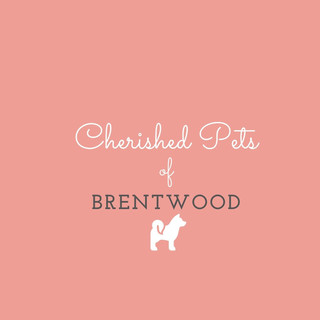 Writer: SHERRY LONGVILLE