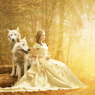 Autorenbild: Kana Shirao