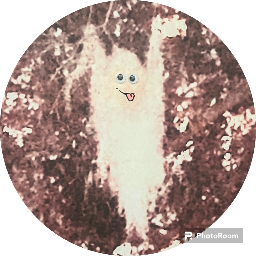 Writer: History, Haunts, & Hahas!