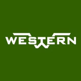 Writer: Western Chemical Pumps