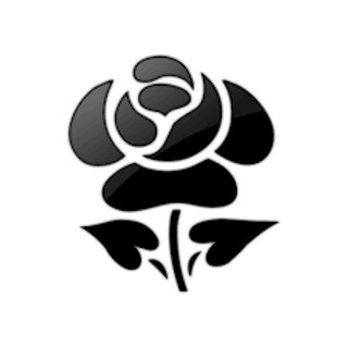 Writer: rosethornfigurine