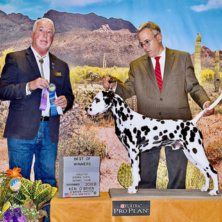 Writer: HatTrick Dalmatians