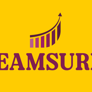 Writer: Dreamsure Capital