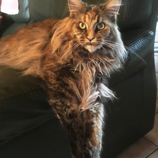 Photo du rédacteur: Dominique DE RE