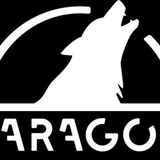 Foto van schrijver: WSG Paragon