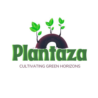 Writer: Plantaza Co
