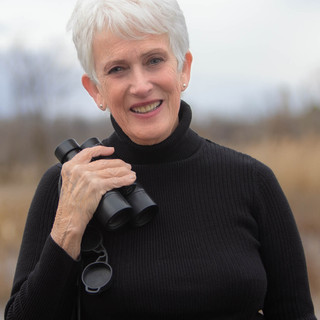 Writer: Elizabeth Saunders