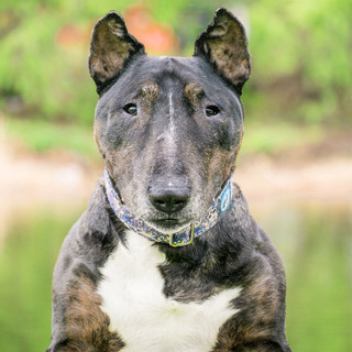 Photo du rédacteur: Mégane de La Touanne