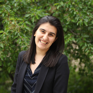 Writer: arminegalstyan