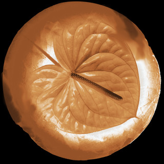 Foto do escritor: Mútua Arte