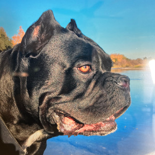 Writer: sidney baysinger